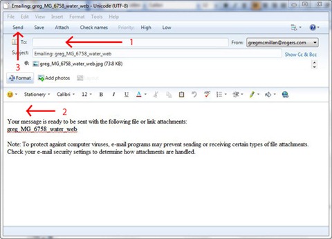fill out email fill out email