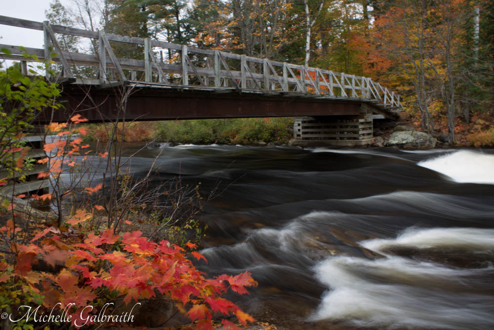 Michelle OSCC Gallery 1