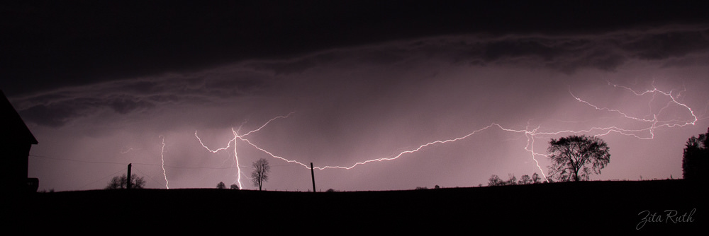 Michelle OSCC Gallery 10