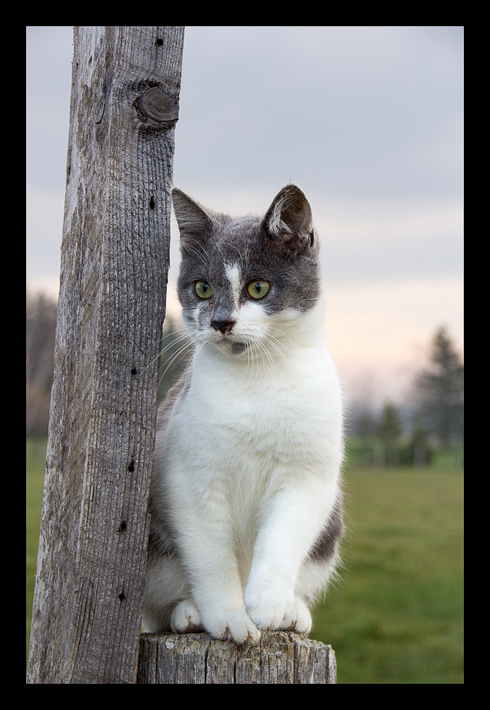 Michelle OSCC Gallery 12