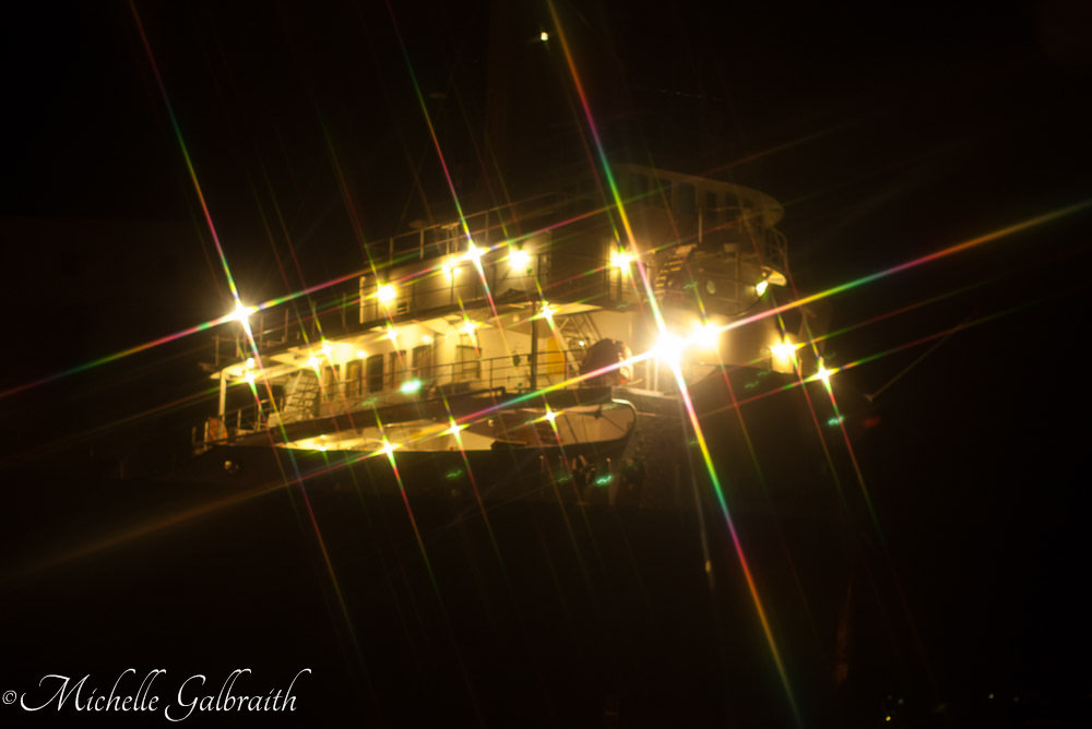 Michelle OSCC Gallery 3