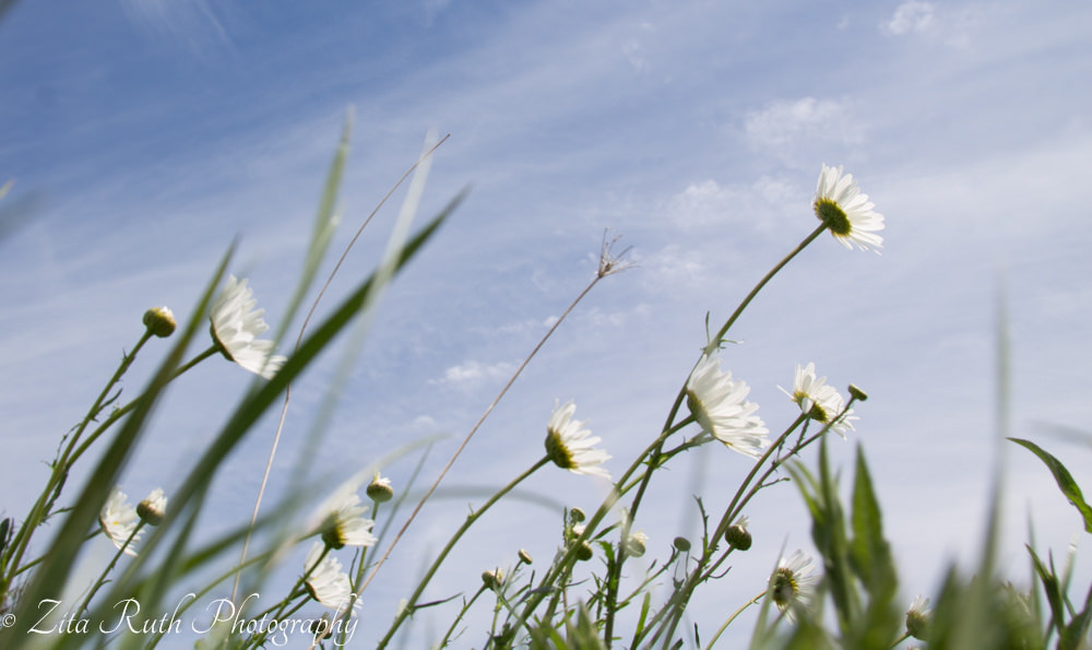 Michelle OSCC Gallery 4