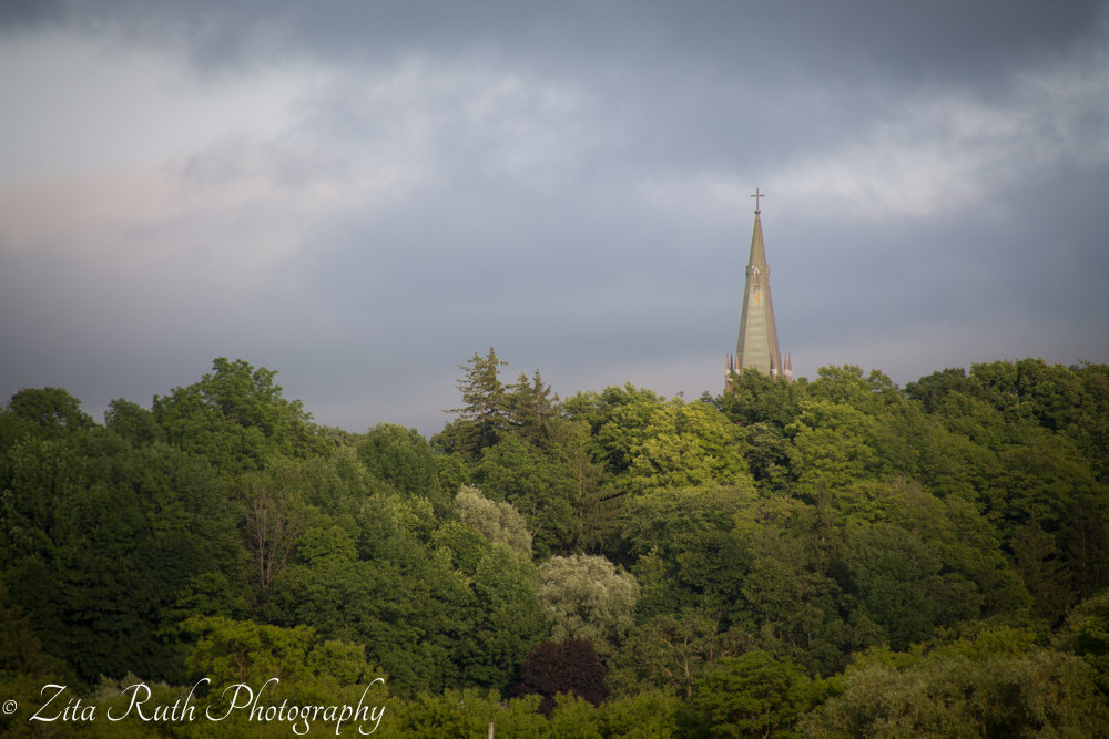 Michelle OSCC Gallery 5