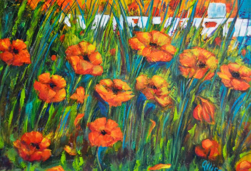 poppies2016